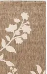 Brown / Beige