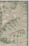 Beige / Green