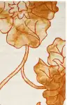 Ivory / Orange
