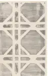 Ivory / Gray