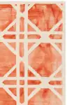 Ivory / Orange