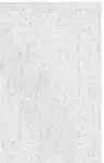 Light Gray / Ivory