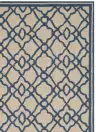 Ivory / Blue