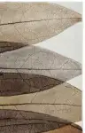 Brown / Gray