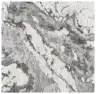 Gray / Ivory