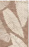 Brown / Ivory