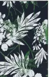 Black / Green