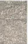 Beige / Gray