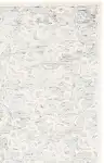 Gray / Ivory