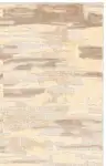Brown / Gray