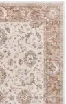 Ivory / Rust