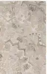 Beige / Ivory