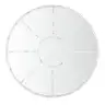 Distressed White