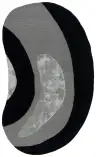 Black / Gray
