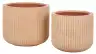 Terracotta