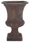 Brown / White