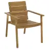 Light Teak