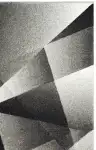 Light Gray / Charcoal