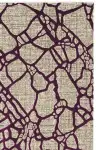 Light Gray / Purple