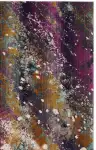 Cream / Magenta