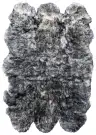 Ivory / Dark Charcoal