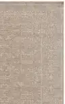 Ivory / Beige