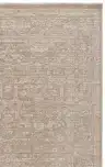 Ivory / Beige
